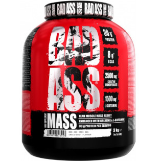 BAD ASS Mass 3kg / Massilisaja