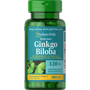 Ginkgo Biloba Standardized Extract 120mg 100caps / Hõlmikpuu 