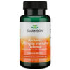 Ultimate Respiratory Defense with NAC and Quercetin 60vcaps / Hingamisteede kaitse NAC-i ja kvertsetiiniga